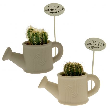 VASO A FORMA DI ANNAFFIATOIO IN PORCELLANA BOMBONIERE TEMA GREEN ORIGINALI ED ECONOMICHE