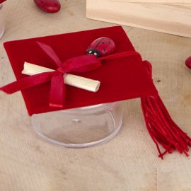 Sacchetto porta confetti per laurea organza Fagotto Rosso