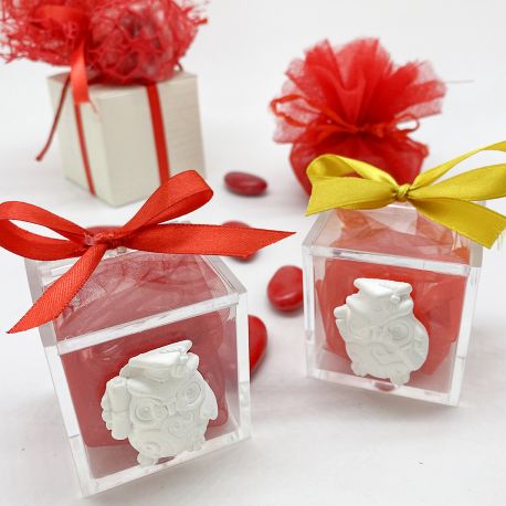 SCATOLINA PLEX TRASPARENTE PORTACONFETTI SEGNAPOSTO CON GESSETTO BIANCO GUFETTO PER LAUREA