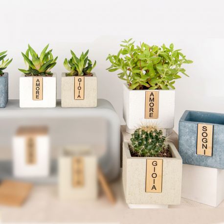 VASI PORTAPIANTE IN TERRACOTTA 3 COLORI CON PAROLE AMORE, SOGNI, GIOIA