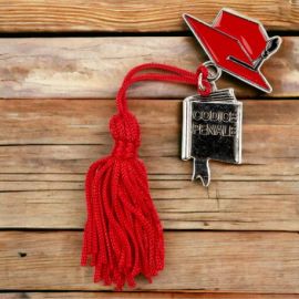 CONFETTATA LAUREA GIURISPRUDENZA: CIONDOLO ZAMA CON CODICE PENALE