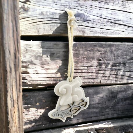 APPENDINO 25 ANNI MATRIMONIO ARGENTO PER CONFETTATA E DECORAZIONE