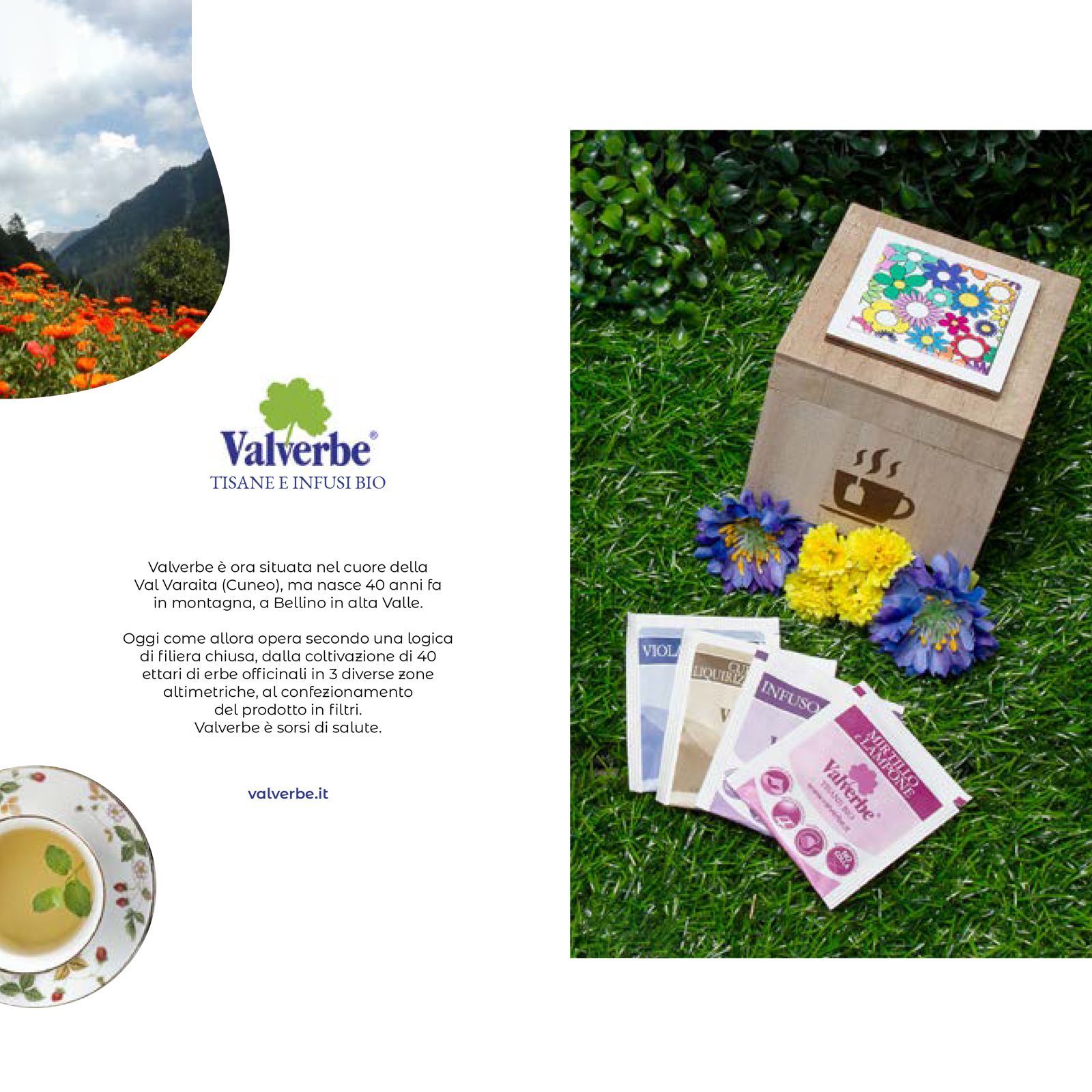 NUOVO CON SCATOLA Chelsea FC 3D Set Costruzione Calcio Calcio Calcio