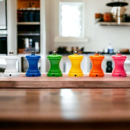 MACINASALE IN COLORI ASSORTITI, BOMBONIERE CUCINA UTILI