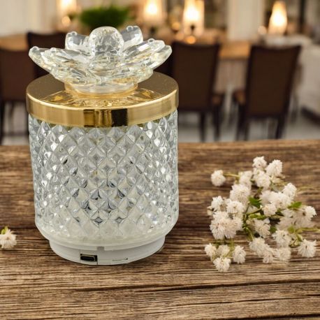 Visualizza ingrandito Precedente LAMPADA LED EFFETTO DIAMANTE CON FIORE TRASPARENTE E LUCE RGB E TELECOMANDO LAMPADA LED EFFETT