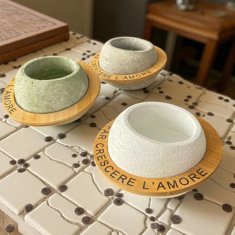 VASI TERRACOTTA ORIGINALI BOMBONIERE PIANTE GRASSE MATRIMONIO IDEE UTILI ORIGINALI TEMA GREEN