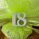 SACCHETTO PORTACONFETTI VERDE FLUO CON NUMERO 18 BIANCO