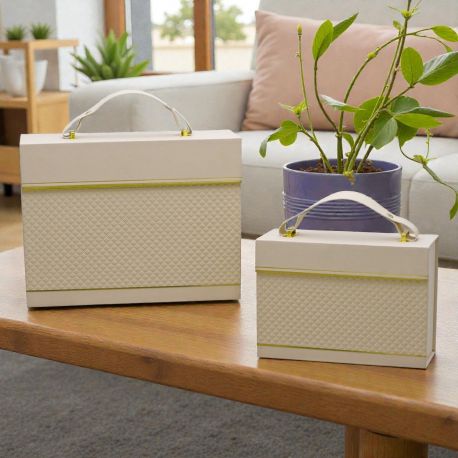 SET DUE BORSE IN CARTONE CON MANICO - BOMBONIERE ORIGINALI PER DONNA