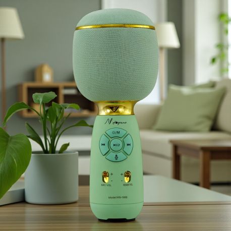MICROFONO BLUETOOTH VERDE CON CASSA: PER FESTE E KARAOKE DIVERTENTI
