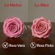 SCATOLA ROSA QUADRIFOGLIO CON ROSE STABILIZZATE PER SAN VALENTINO
