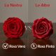 ORSETTO ROSSO CON ROSA STABILIZZATA: REGALO UNICO PER SAN VALENTINO!