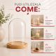 CAMPANA IN VETRO CON BASE IN LEGNO CUPOLA TRASPARENTE PER BOMBONIERE
