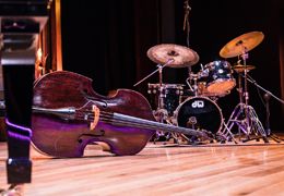 GUIDA PER ORGANIZZARE EVENTI MUSICALI A TEMA PER OGNI ETA'