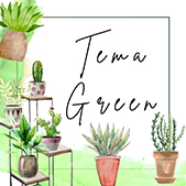 bomboniere tema green piante grasse tema ulivo mini bonsai piantine